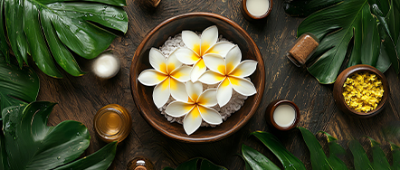 Breath of the tropics Breath of the tropics