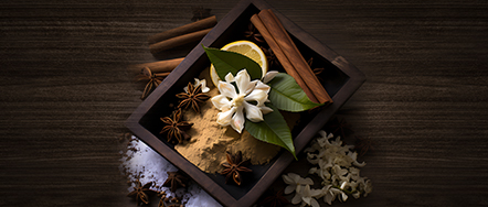 Smoke and Sweetness (Tobacco & Vanilla) Smoke and Sweetness (Tobacco & Vanilla)